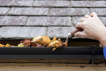 Spring & Fall Cleanup