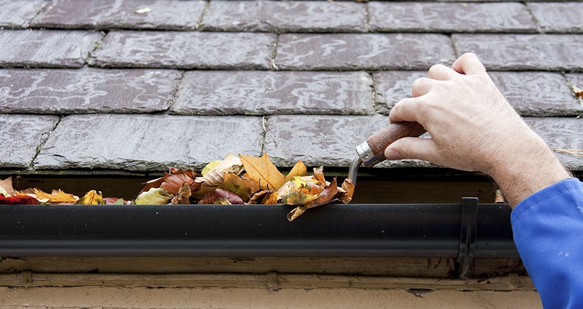 Spring & Fall Cleanup