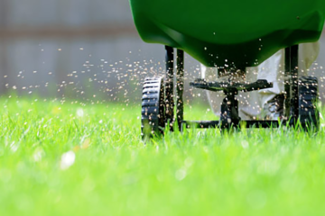 Lawn Fertilizers