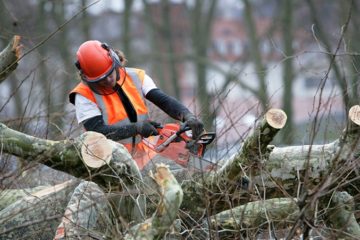 Planting & Removal