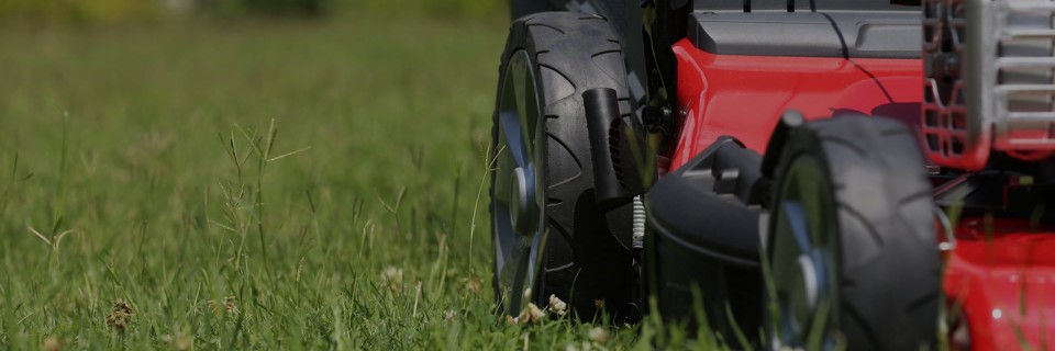 The grass is always greener on
your side of the fence